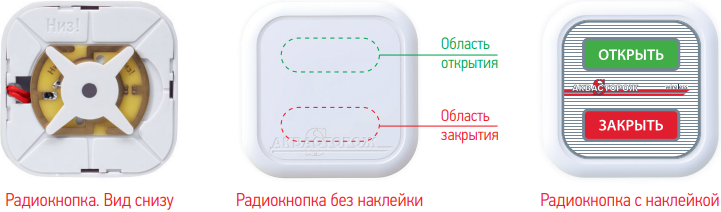 Радиокнопка Радиокнопка