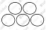 Уплотнительное кольцо Vaillant 0020077919 (5шт)