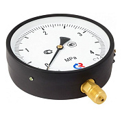 Манометр TM-510P.00 (0...2,5)МПа, 100мм, кл.1,5, IP40, G1/2" радиальный, черный, Росма